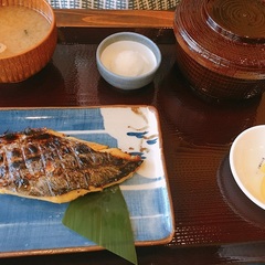 菊松食堂