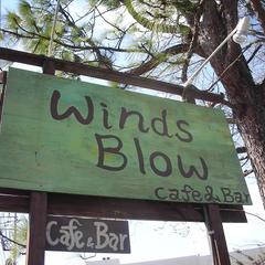 Winds Blowの写真